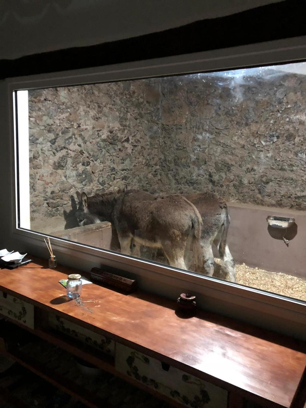 La Esperanza  Casa Antiguaヴィラ エクステリア 写真