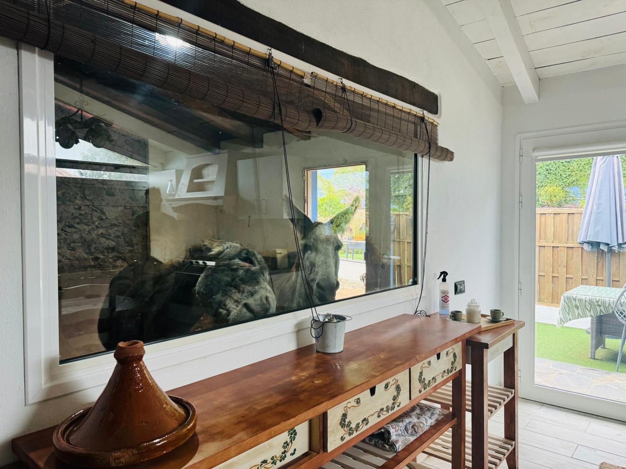 La Esperanza  Casa Antiguaヴィラ エクステリア 写真