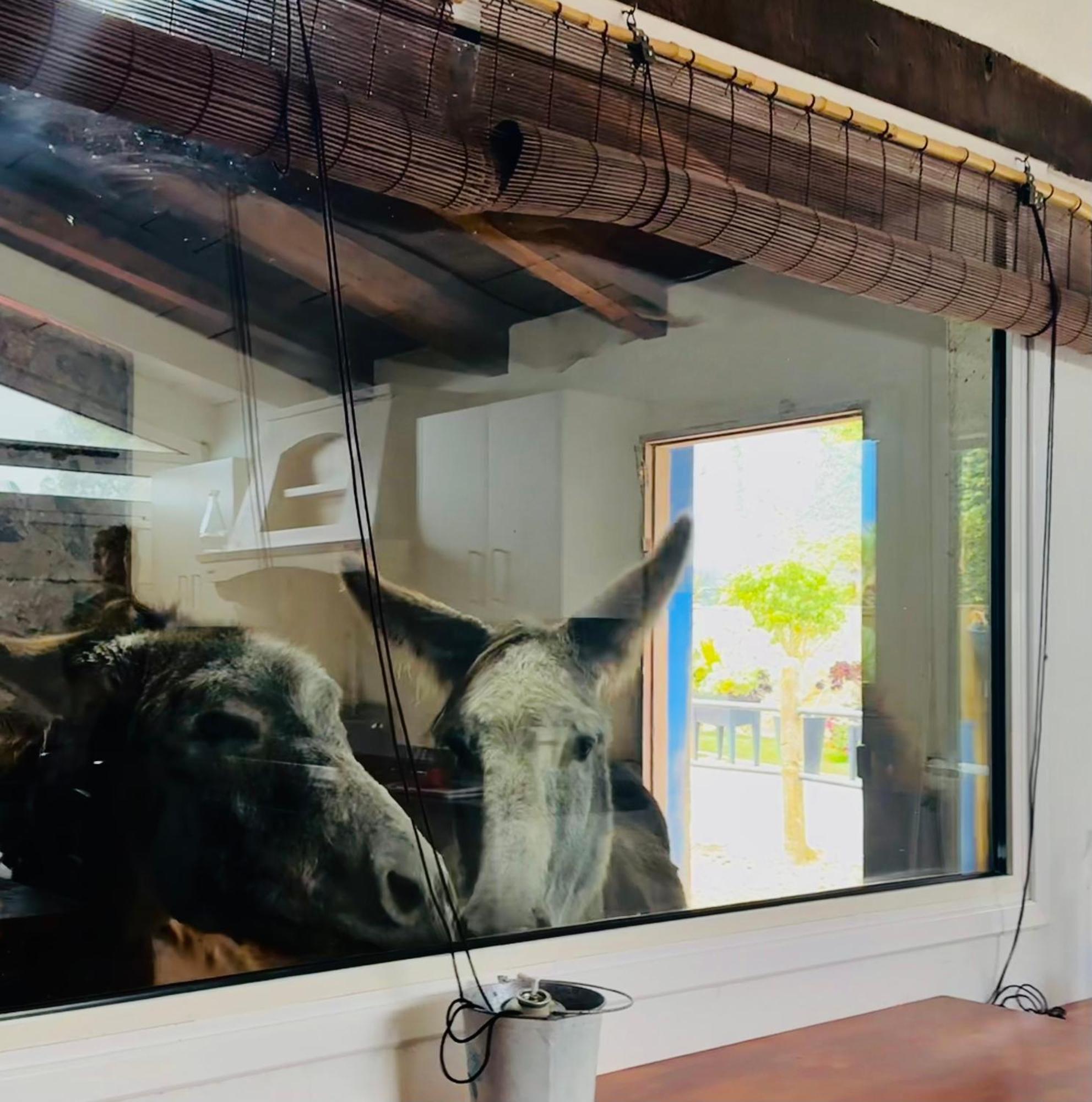 La Esperanza  Casa Antiguaヴィラ エクステリア 写真